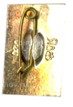 Значок Бахчисарай