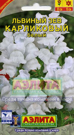 Львиный зев карликовый белый 10шт. (Аэлита)