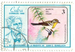 Марка Тигровый лесной певун 1986 год Куба