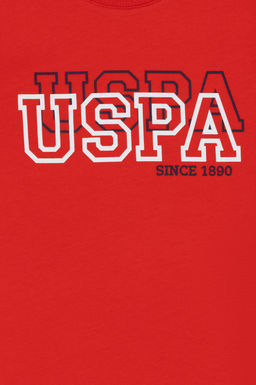 U. S. Polo Assn / Красная базовая футболка с круглым вырезом для мальчиков - U.s. polo assn фото 12
