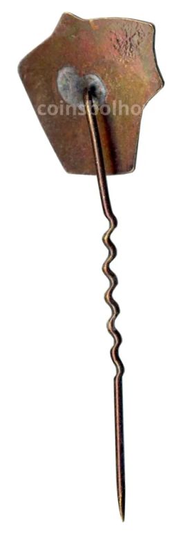 Значок Вильнюс