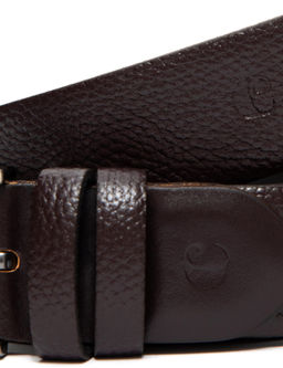 Коричневый пояс