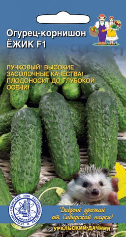 Огурец ЁЖИК F1 Сибирская селекция! Пучковый! Высокие засолочные качества! Плодоносит до глубокой осени!