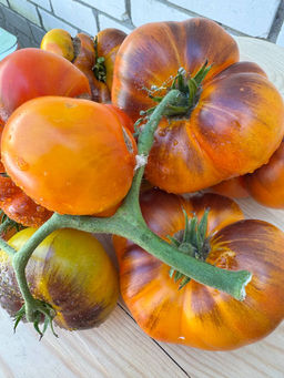 Чупа-чупс оранжевый НОВИНКА 2025 года!