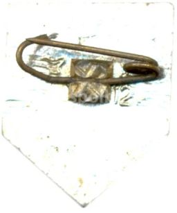 Значок Сосновка