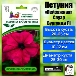 Петуния Сауэр Бургунди кустовая крупноцветковая - Партнер фото 2