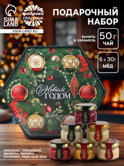 Подарочный набор С новым годом!: чай чёрный, крем-мёд (6 шт.x30 г)
