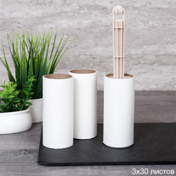 Набор щетка для одежды и 2 сменных ролика арт. 10-3 (728322)