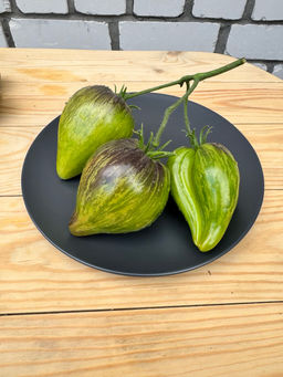 Изумрудная парча НОВИНКА 2025 года!