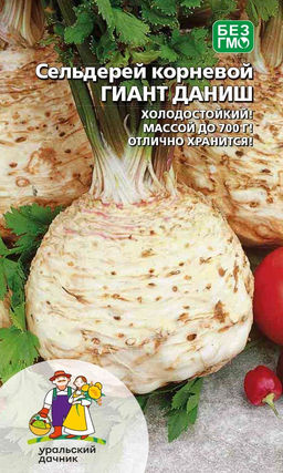 Сельдерей корневой ГИАНТ ДАНИШ  Холодостойкий! Массой до 700 г! Отлично хранится!