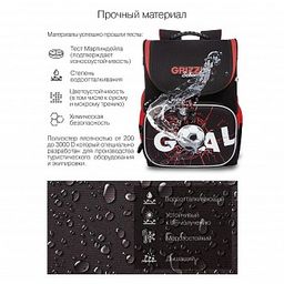 RAl-295-1 Рюкзак школьный