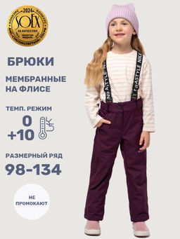 Брюки 2л3825 вишня