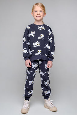 КР 400448-1/темно-серый,забавные кошечки к345, брюки