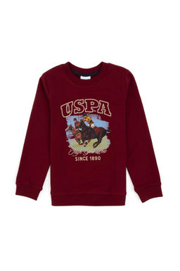 Erkek _ocuk Bordo Bisiklet Yaka _nce Bisiklet Yaka Sweatshirt