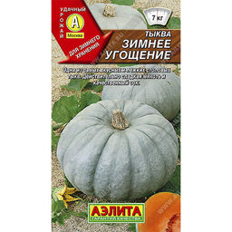 Тыква Зимнее угощение 1г (Аэлита)