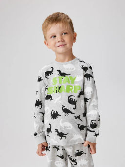 ACOOLA / Пижама детская для мальчиков Leskara серый фото 4