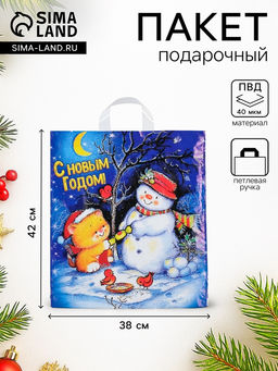 Цена за 25 шт. Пакет «Вечерок», полиэтиленовый с петлевой ручкой 38×42 см