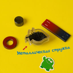 Набор для опытов Опыты с магнитами, 6 опытов - Эврики фото 5