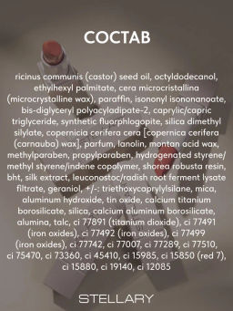 Stellary Помада для губ Устойчивая RICH NUDE тон 09 trendsetter  фото 7