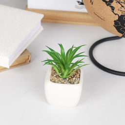 Цветочная композиция Кактус 9 см / FA2891 /уп 12/192/