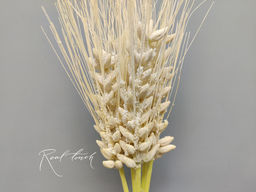 Пучок колосьев пшеницы из 5 штук - Молочный - Real touch фото 2