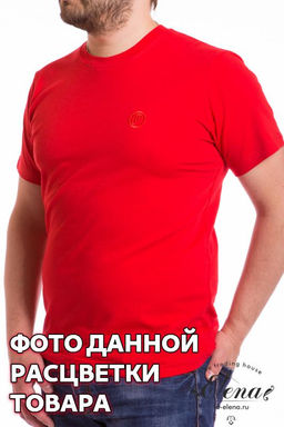 Футболка мужская
