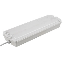 ULR-E51-10W/4000K WHITE ВЫХОД/EXIT S01 Светильник светодиодный аварийного освещения, влагозащищенный, IP65. Белый свет (4000K). Встроенный аккумулятор. Корпус белый. ТМ Uniel