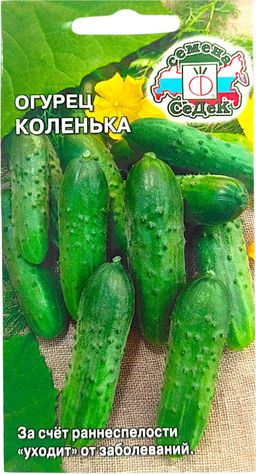 Огурец Коленька 0,3г (СеДеК)