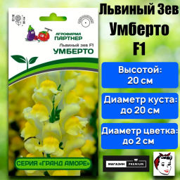 Львиный Зев низкорослый крупноцветковый Гранд Аморе Умберто