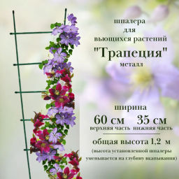 Шпалера "ТРАПЕЦИЯ" 1,2м (выс. 1,2,м, шир. 0,35-0,6м) ст.тр. 10мм