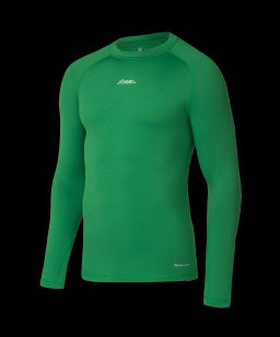 Джемпер компрессионный утепленный JOGEL CAMP PerFormDRY Baselayer Top Warm, зеленый