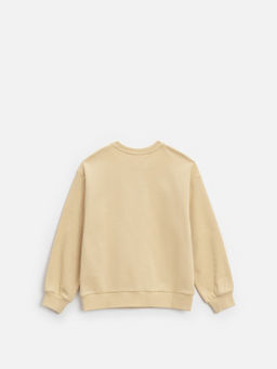 ACOOLA / Джемпер детский для мальчиков Acris бежевый  фото 2