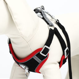 Комплект Sport+, S, поводок 120 x1 ,5 см, ОШ 39-41 см, ОГ 44-48 см, вес животного 7-13 кг, чёрный 9 - Пижон фото 6