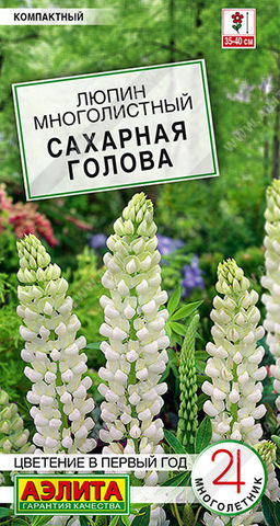1594A Люпин Сахарная голова 7шт