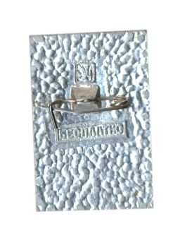 Значок Общество охраны памятников истории и культуры РСФСР