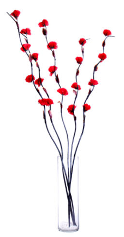 Сухоцвет набор 5 штук 150 см Гвоздика красная / 18-18 /уп 100/641044 - Галеонтрейд фото 2