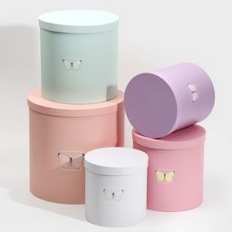 Набор круглых подарочных коробок 5 в 1 Бабочки, 23 23 25 15 15 15 см - Дарите счастье фото 17