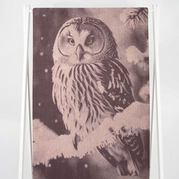 Полотенце махровое 6с102.411ж1 Фото-сова(т.с.мальв1) 67х150см