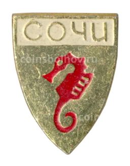 Значок Сочи
