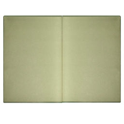 Ежедневник недатированный ESCALADA, А5, 160 л., арт. 63991/ 15 ПИКЕ ОЛИВКОВЫЙ  фото 4