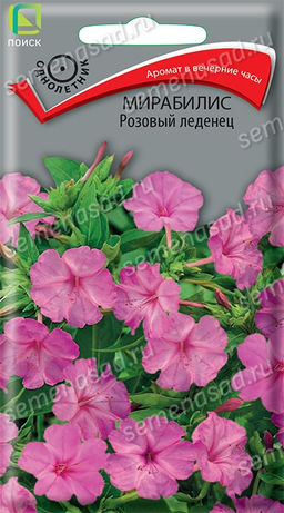 Мирабилис Розовый леденец (ЦВ) ("1) 1гр.