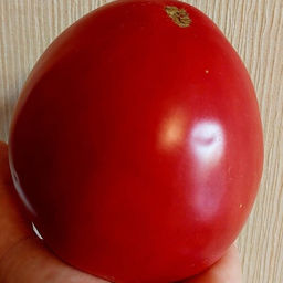 7056Т Томат Отец Горио 10шт