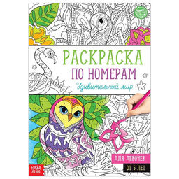 Цена за 2 шт. Раскраска по номерам Удивительный мир, 16 стр., формат А4