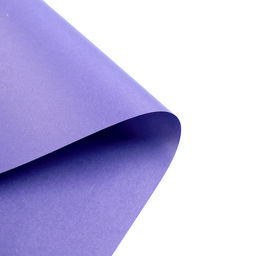 Бумага цветная А5, 10 листов, 10 цветов Крокодил, офсет 65 г/м2, волшебная (золото+серебро), двусторонняя, в папке - Calligrata фото 4