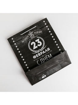 Цена за 2 шт. Пакет подарочный ламинированный, упаковка, С 23 февраля, ML 23?27?11.5 см