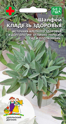 Шалфей КЛАДЕЗЬ ЗДОРОВЬЯ  Источник крепкого здоровья и долголетия! Отлично украсит сад и подоконник!