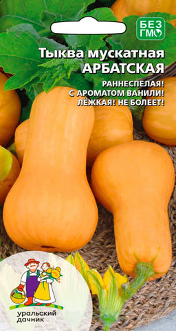 Тыква АРБАТСКАЯ  Хоть на выставку вези! До 4 кг, очень вкусная, мякоть оранжевая с ароматом ванили!