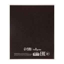 Тетрадь предметная Супернеон, 48 листов в клетку Геометрия, со справочным материалом, обложка мелованный картон, блок офсет - Calligrata фото 4