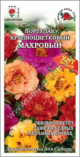 Портулак Махровый крупноцветковый (смесь) 0,1г (Золотая сотка Алтая)