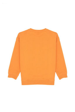Erkek _ocuk Bak_r Sweatshirt Sepette S_rpriz _ndirim - U.s. polo assn фото 2